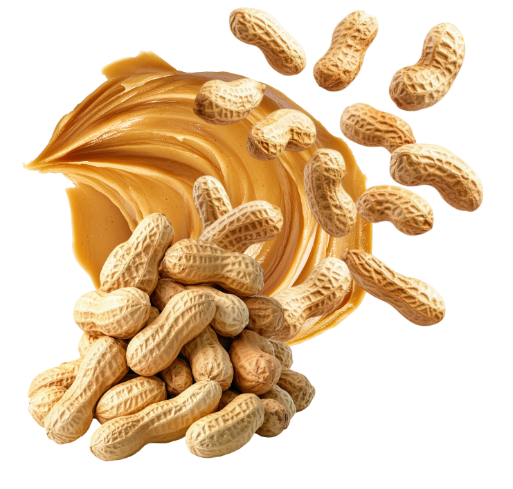 iavellana horneada banner home molianza