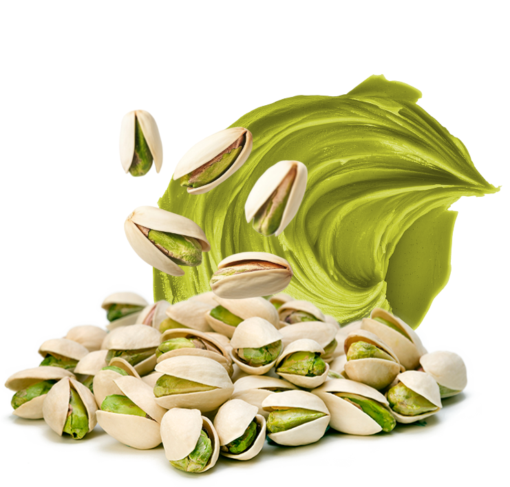 iavellana horneada banner home molianza