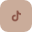 icono tiktok footer