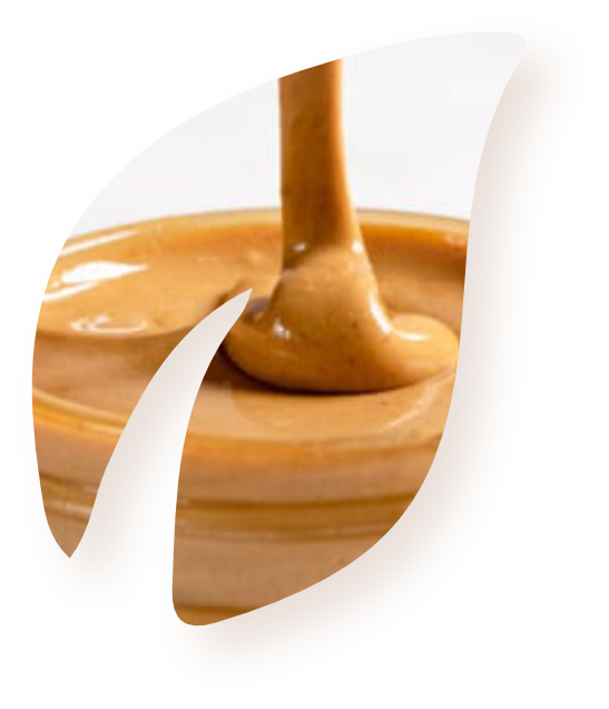 sobre nosotros hoja molianza